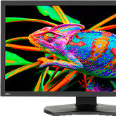 NEC MultiSync PA311D - 31-calowy monitor dla profesjonalistów