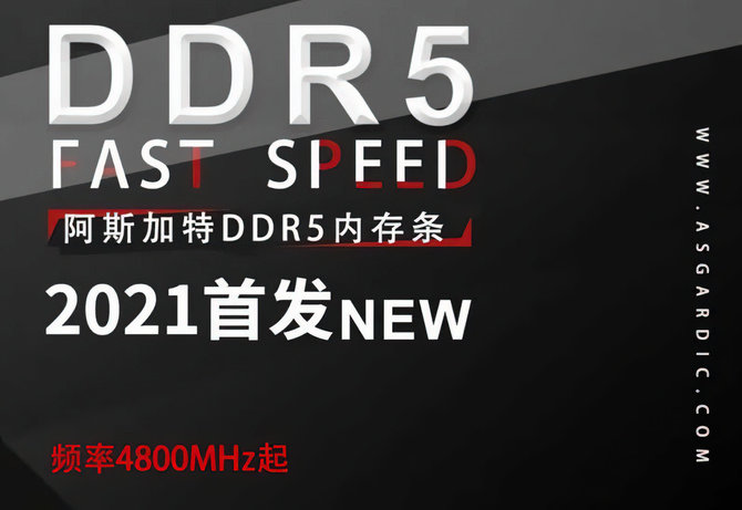 Asgard DDR5 4800 MHz - nowe pamięci DRAM, przygotowane z myślą o 12 generacji procesorów Intel Alder Lake [2]
