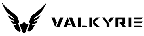 Logo firmy VALKYRIE