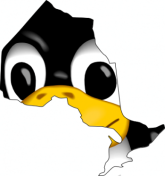 Linux - jak ugryźć pingwina