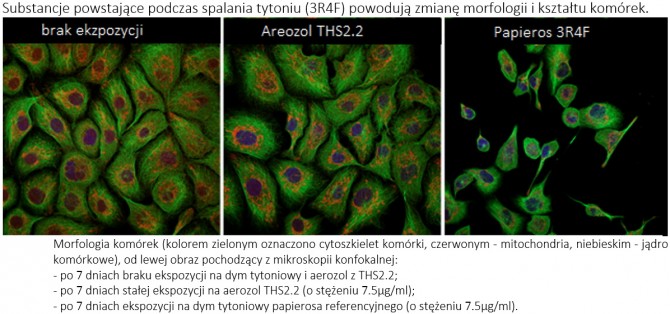 IQOS kontra zwykły papieros: wyniki rocznego badania PAN