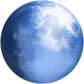 Pale Moon - Przeglądarka wymaga rozwijania "od nowa"