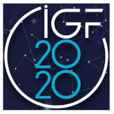 IGF 2021: Polska gospodarzem Forum Zarządzania Internetem