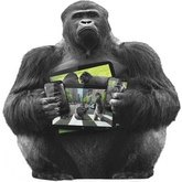 Corning Gorilla Glass Victus. Jak wytrzymała jest nowa generacja?