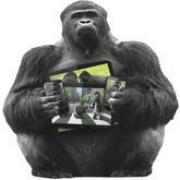 Corning Gorilla Glass z DX+ i Gorilla Glass z DX: Nowe szkła ochronne dla aparatów w smartfonach