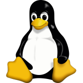 Linux kernel 7.0 - wprowadzi duże zmiany w procesie czyszczenia pamięci cache i nowe funkcje dla architektury LoongArch
