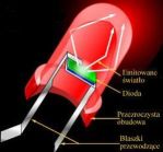 Sperma w... diodach LED