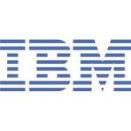 Pracownicy IBM-a będą strajkować wirtualnie