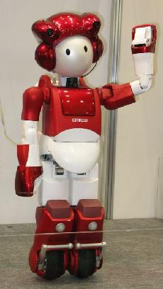Witamy w świecie humanoidalnych robotów.