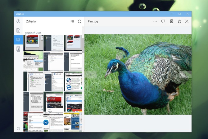 Dropbox dla Windows 10 #3
