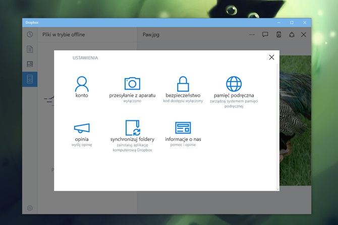 Dropbox dla Windows 10 #4