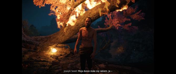 Recenzja Far Cry: New Dawn - czy to sequel godzien Josepha Seeda? [30]