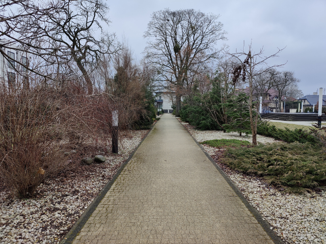 Test OnePlus 9 i OnePlus 9 Pro – Wydajne smartfony z optyką Hasselblad, ładowaniem o mocy 65 W i atrakcyjną ceną [nc1]