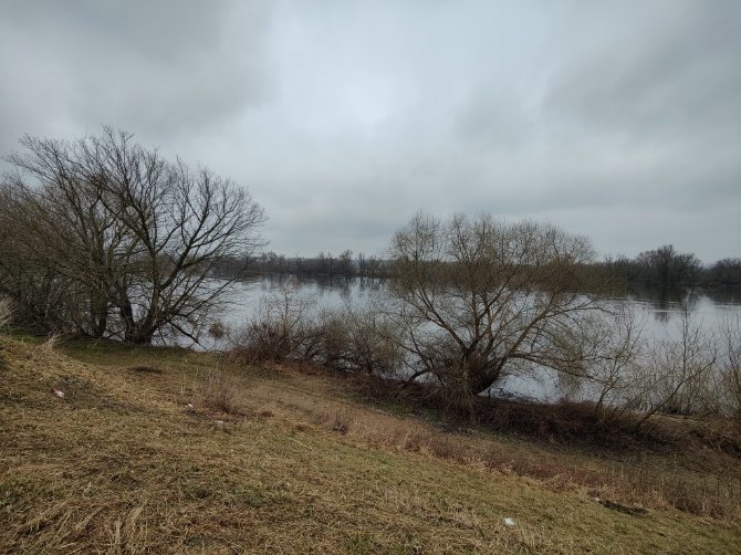 Test OnePlus 9 i OnePlus 9 Pro – Wydajne smartfony z optyką Hasselblad, ładowaniem o mocy 65 W i atrakcyjną ceną [nc1]