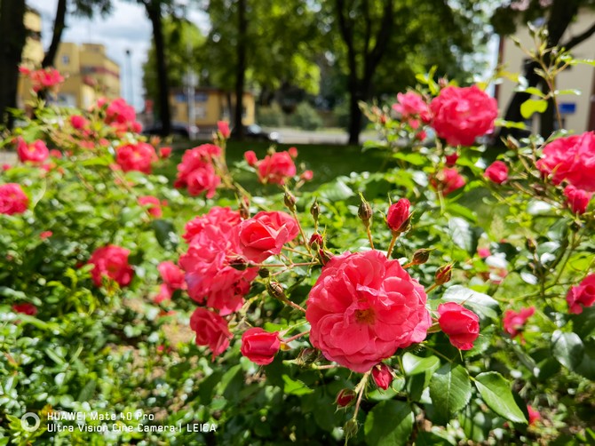 Test smartfona vivo X80 Pro – nowy lider wydajności oraz mocarz nocnej fotografii. Gorący zawodnik [nc73]