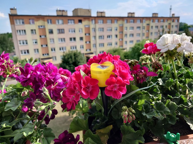 Test smartfona Sony Xperia 1 IV. Czy dotrzyma tempa innym popularnym flagowcom? [nc39]