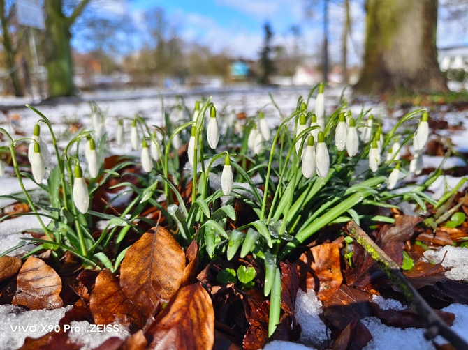 Test smartfona Vivo X90 Pro – Jak spisuje się flagowe urządzenie producenta reklamowane jako mistrz fotografii? [nc50]