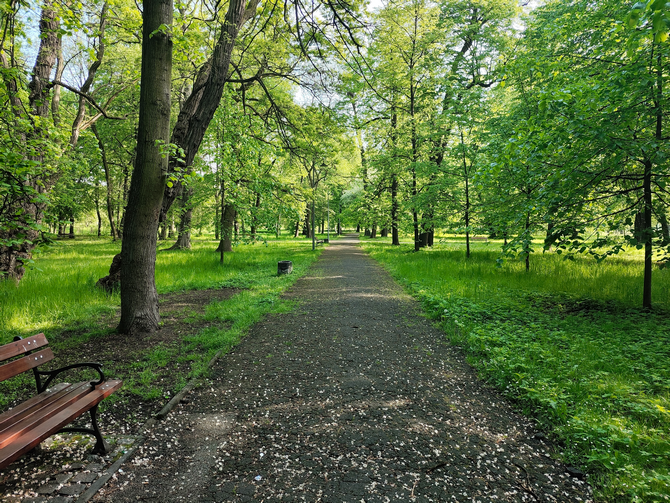 Test smartfona POCO F5 Pro - wydajność Snapdragona 8+ Gen 1 w atrakcyjnej cenie, ale co ponadto? [nc22]