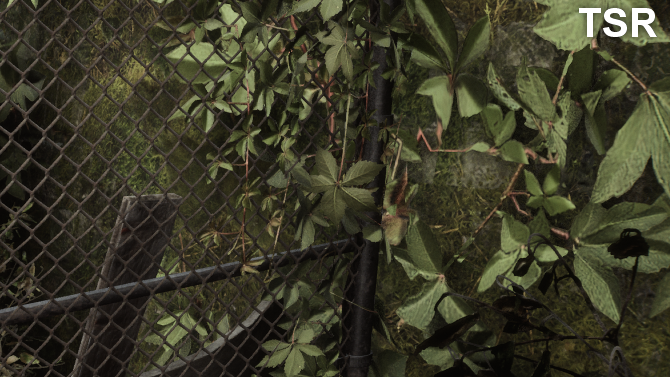 Test wydajności kart graficznych Silent Hill 2 Remake. Unreal Engine 5 trochę postraszył wymaganiami sprzętowymi [nc14]