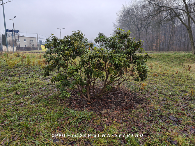 Test smartfona OPPO Find X8 Pro - flagowiec, że mucha nie siada! Doskonałe aparaty, mocna bateria i wydajny Dimensity 9400 [nc1]