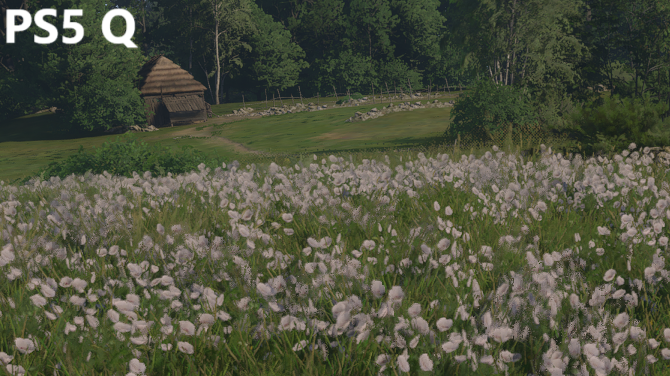 Test Kingdom Come Deliverance II - Porównanie wersji PC oraz PlayStation 5. Jakość NVIDIA DLSS 4 i skalowanie wydajności [nc63]