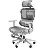 Paradox Ergo One Gray