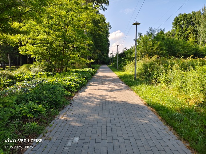Test smartfona vivo V50 - stylowy model z pojemną baterią. Zachwyci amatorów fotografii, ale rozczaruje maniaków wydajności [nc1]