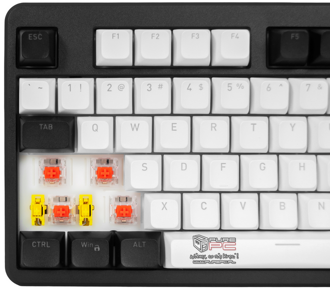 Test klawiatury mechanicznej Hator Rockfall 3 TKL Wireless - Bezprzewodowa łączność, nakładki PBT, wytłumienie i hot-swap [nc1]