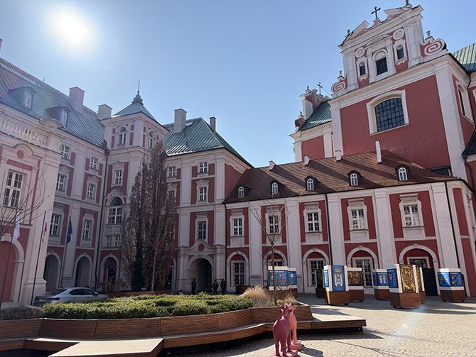 Porównanie aparatów w smartfonach Samsung Galaxy S26 vs iPhone 17. Sprawdź, który jest lepszy [nc1]
