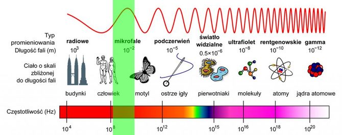 Technologia łączności 5G - czy i jak tak naprawdę szkodzi zdrowiu? [3]