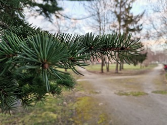 Test smartfona Huawei P40 Lite: bo nie można mieć wszystkiego [nc4]