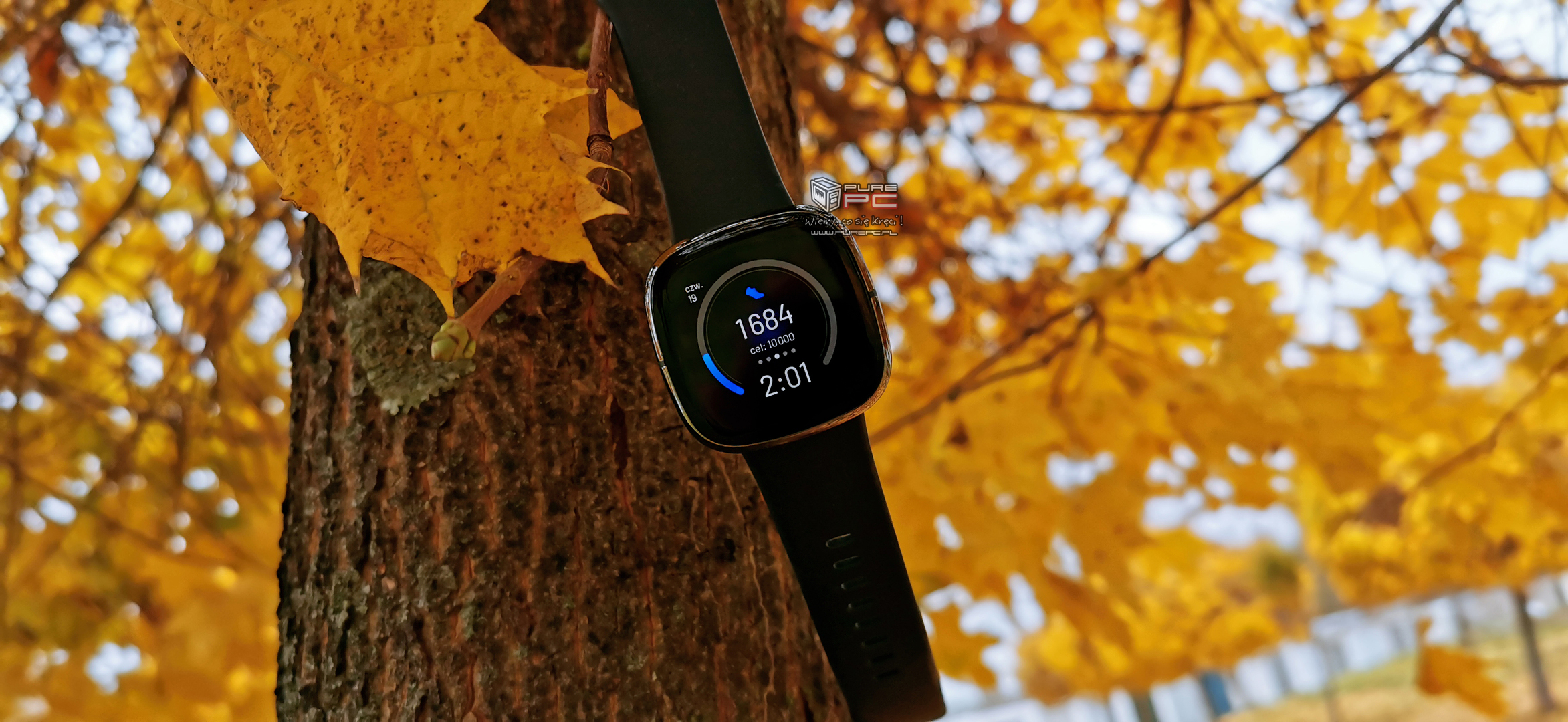 Fitbit versa ekg best sale