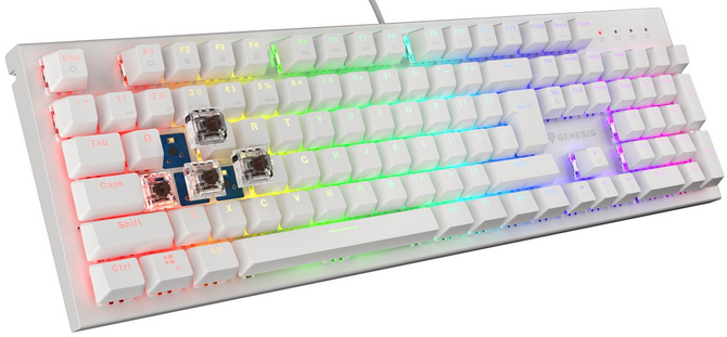 Test taniej klawiatury mechanicznej Genesis Thor 303 RGB - Przełączniki Outemu Brown i podświetlenie RGB Prism [nc1]