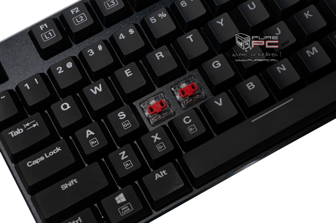 Test klawiatury Sharkoon PureWriter TKL RGB - Niskoprofilowa klawiatura mechaniczna z przełącznikami Kailh RED [nc1]