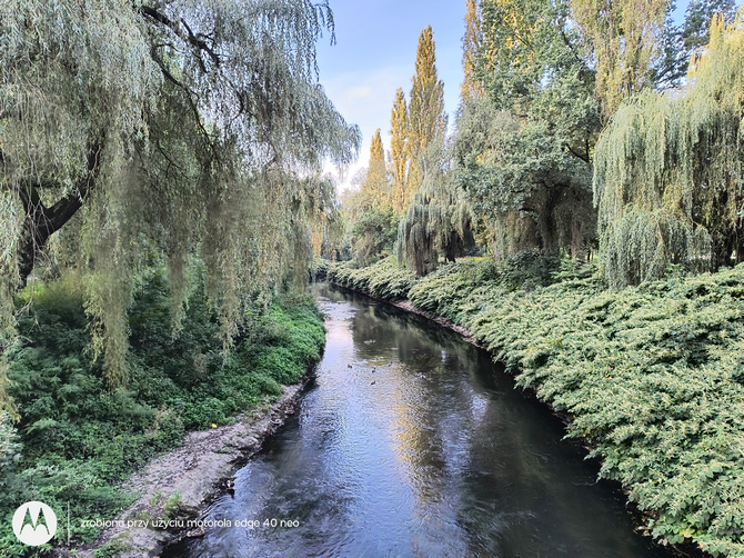 Test smartfona Motorola Edge 40 Neo - atrakcyjny średniak z cudownym ekranem pOLED i stabilnym układem Dimensity 7030 [nc23]