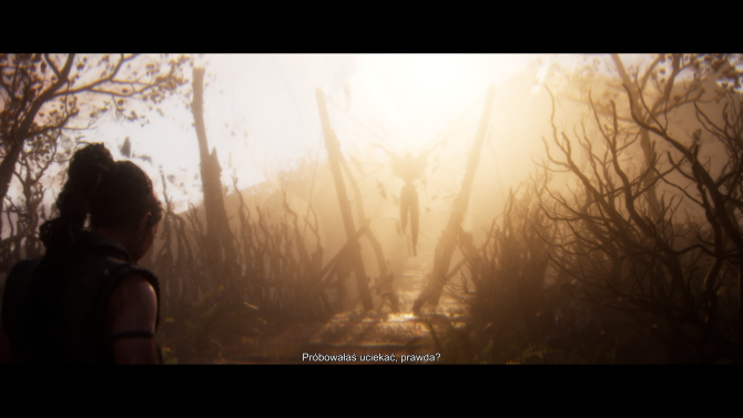 Recenzja Senua's Saga: Hellblade II - podróży ciąg dalszy. Sprawdzamy, czy Ninja Theory ponownie oczaruje graczy [nc1]