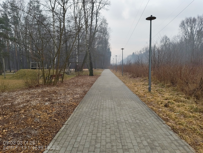 Test Nothing Phone (3a) Pro vs Nothing Phone (3a). Porównujemy aparaty fotograficzne smartfonów ze średniej półki cenowej [nc1]