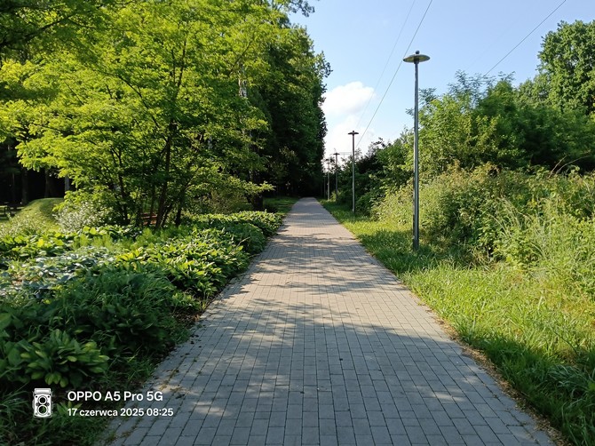 Test smartfona OPPO A5 Pro 5G - znakomita bateria, przeciętny procesor i... zaskakujący aparat fotograficzny [nc1]