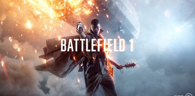 Zabezpieczenia Denuvo zostały złamane w grze Battlefield 1 [1]