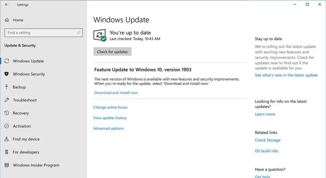 Windows 10 May 2019 Update tylko poprzez ręczną aktualizację [2]
