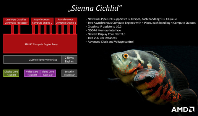 AMD Sienna Cichlid: znaleziono ślady nowego GPU. Czy to BIG NAVI? [1]