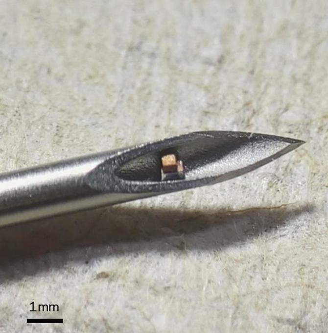 Naukowcy z Uniwersytetu Columbia opracowali najmniejszy na świecie wszczepiany chip, do monitorowania fizjologii człowieka [2]