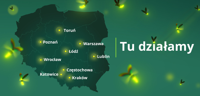 Allegro One Kurier: nowa usługa umożliwia odebranie paczki od kuriera tego samego dnia, również w soboty [3]