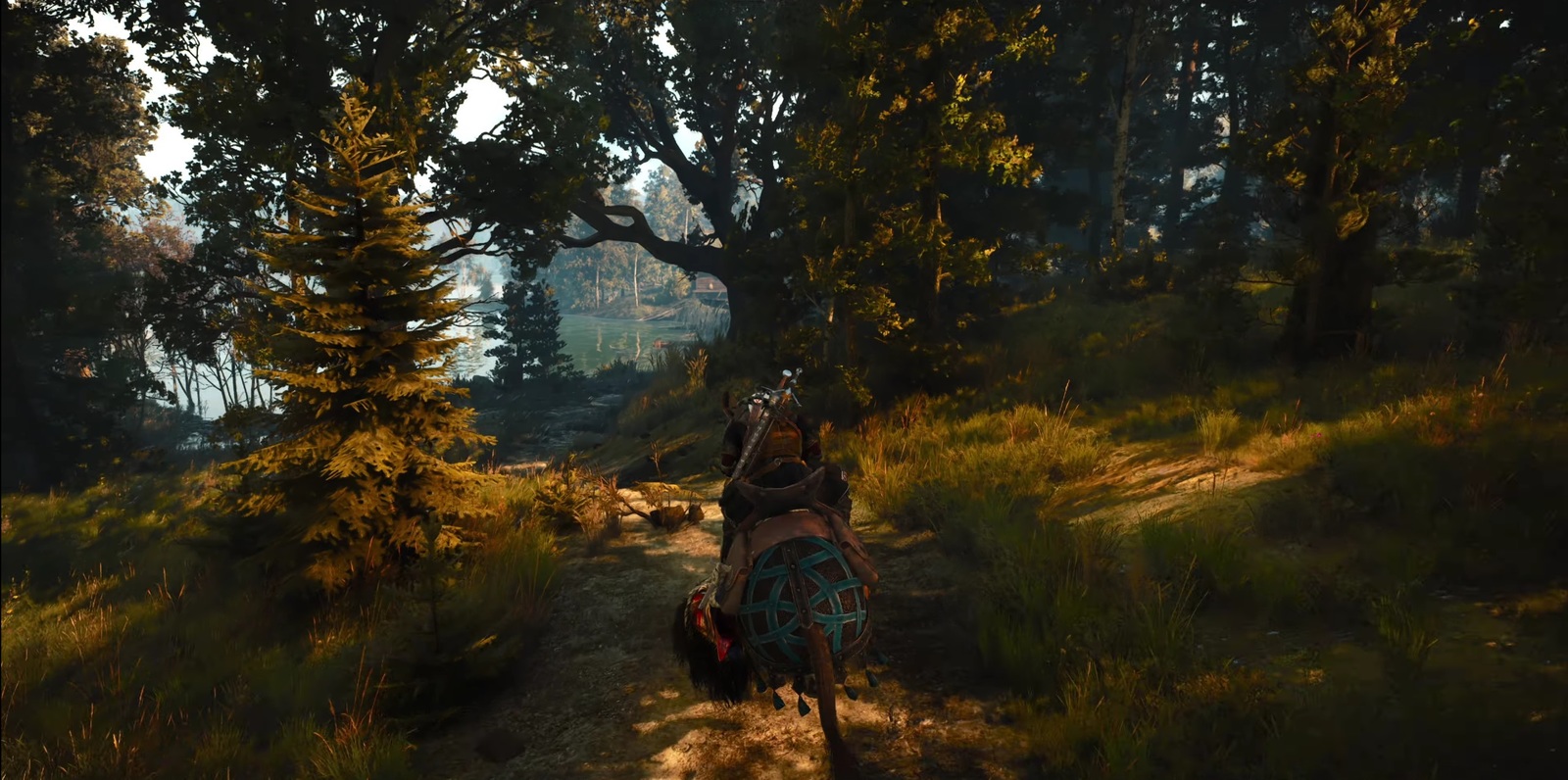 The witcher 3 ps5 60 fps фото 88