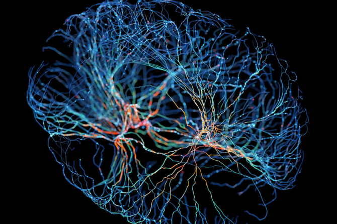 Artificial intelligence will not conquer the world.  According to scientists, organics have much more potential