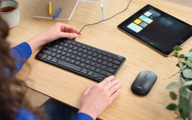 Trust Lyra - a budget set consisting of a keyboard and mouse, which should prove itself in everyday work and travel [2]