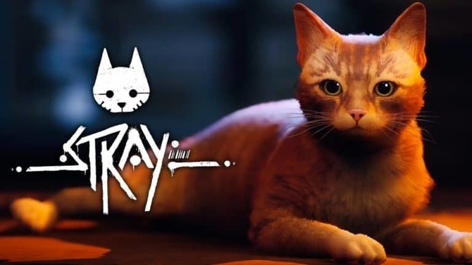 Stray - potwierdzono datę premiery niezależnej gry z kotkiem w roli głównej na konsolach Xbox One oraz Xbox Series [1]