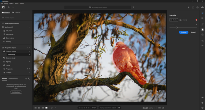 Adobe Lightroom pozwala szybko usunąć niechciane obiekty ze zdjęć. Sztuczna inteligencja zwiększa możliwości aplikacji [5]