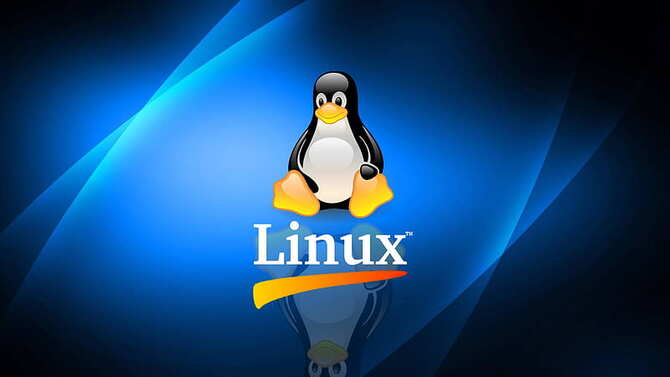 Linux otrzymał poprawkę do kernela, która eliminuje problem powolnego startu systemu na niektórych procesorach AMD [2]