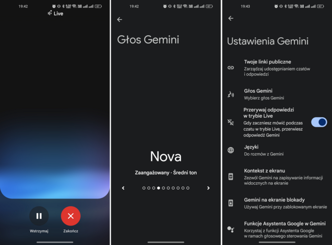 Gemini Live dostępny w Polsce. Rozmowa z AI jak z człowiekiem? Do tego jeszcze daleko, bo usługa mierzy się z pewnymi problemami [2]